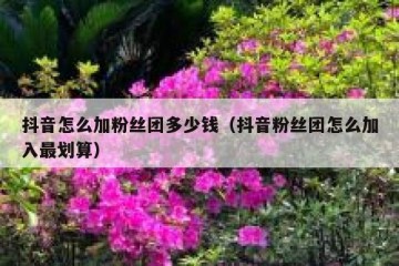 抖音怎么加粉丝团多少钱（抖音粉丝团怎么加入最划算）