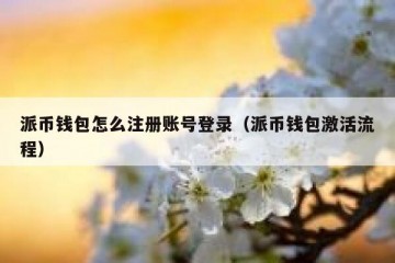 派币钱包怎么注册账号登录（派币钱包激活流程）