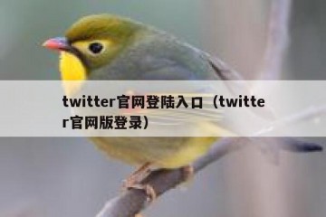 twitter官网登陆入口（twitter官网版登录）