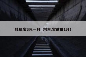 挂机宝3元一月（挂机宝试用1月）