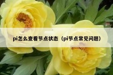 pi怎么查看节点状态（pi节点常见问题）