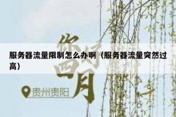 服务器流量限制怎么办啊（服务器流量突然过高）