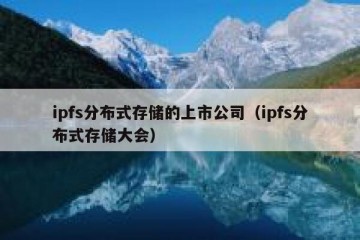 ipfs分布式存储的上市公司（ipfs分布式存储大会）