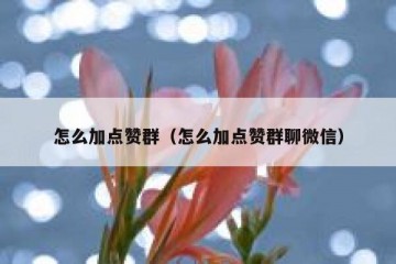 怎么加点赞群（怎么加点赞群聊微信）