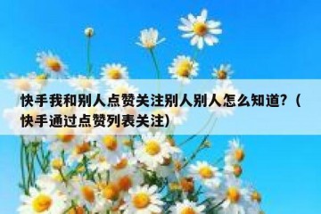 快手我和别人点赞关注别人别人怎么知道?（快手通过点赞列表关注）