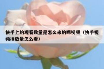 快手上的观看数量是怎么来的呢视频（快手视频播放量怎么看）