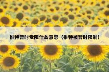 推特暂时受限什么意思（推特被暂时限制）