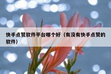 快手点赞软件平台哪个好（有没有快手点赞的软件）