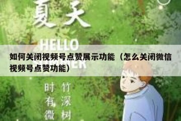 如何关闭视频号点赞展示功能（怎么关闭微信视频号点赞功能）