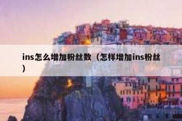 ins怎么增加粉丝数（怎样增加ins粉丝）