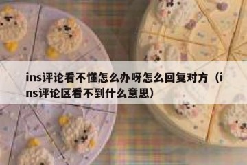 ins评论看不懂怎么办呀怎么回复对方（ins评论区看不到什么意思）