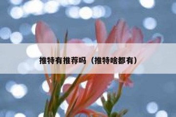 推特有推荐吗（推特啥都有）