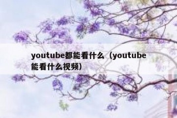 youtube都能看什么（youtube能看什么视频）