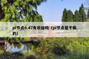 pi节点0.47有收益吗（pi节点是干嘛的）
