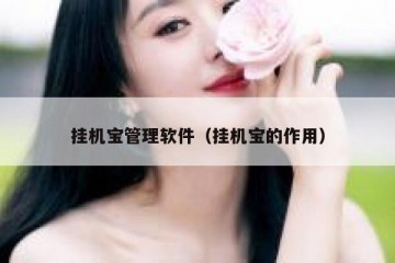 挂机宝管理软件（挂机宝的作用）