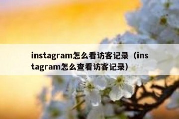 instagram怎么看访客记录（instagram怎么查看访客记录）