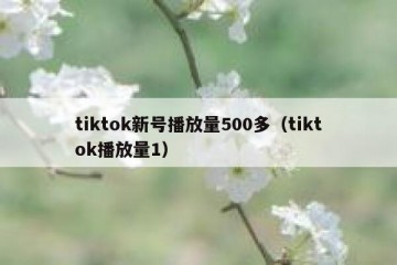 tiktok新号播放量500多（tiktok播放量1）