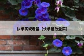 快手买观看量（快手播放量买）