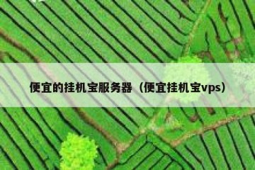 便宜的挂机宝服务器（便宜挂机宝vps）