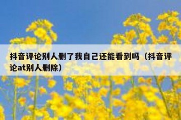 抖音评论别人删了我自己还能看到吗（抖音评论at别人删除）