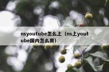 nsyoutube怎么上（ns上youtube国内怎么用）