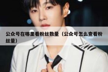 公众号在哪里看粉丝数量（公众号怎么查看粉丝量）
