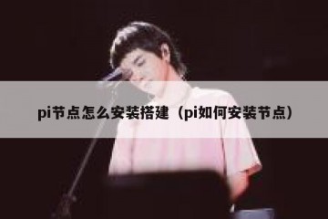 pi节点怎么安装搭建（pi如何安装节点）