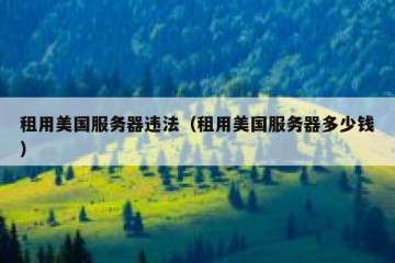 租用美国服务器违法（租用美国服务器多少钱）