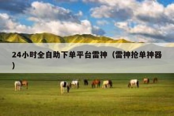 24小时全自助下单平台雷神（雷神抢单神器）