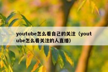 youtube怎么看自己的关注（youtube怎么看关注的人直播）