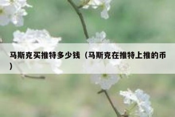 马斯克买推特多少钱（马斯克在推特上推的币）