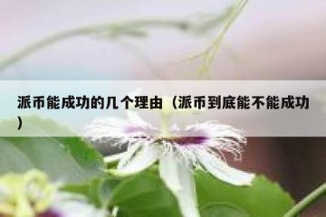派币能成功的几个理由（派币到底能不能成功）