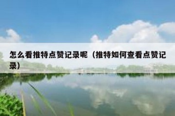 怎么看推特点赞记录呢（推特如何查看点赞记录）