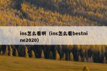 ins怎么看啊（ins怎么看bestnine2020）
