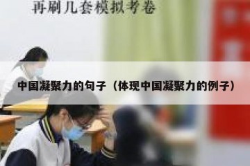 中国凝聚力的句子（体现中国凝聚力的例子）