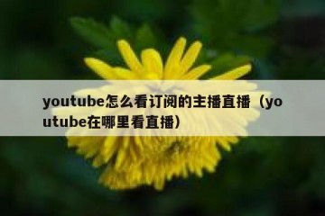 youtube怎么看订阅的主播直播（youtube在哪里看直播）