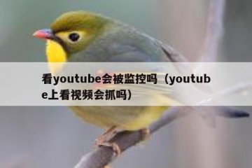 看youtube会被监控吗（youtube上看视频会抓吗）