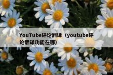 YouTube评论翻译（youtube评论翻译功能在哪）