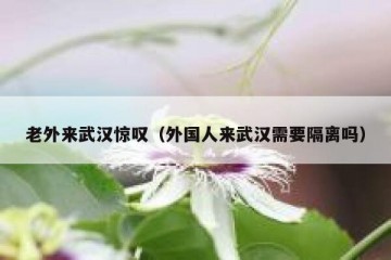老外来武汉惊叹（外国人来武汉需要隔离吗）