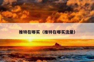 推特在哪买（推特在哪买流量）
