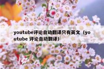 youtube评论自动翻译只有英文（youtube 评论自动翻译）