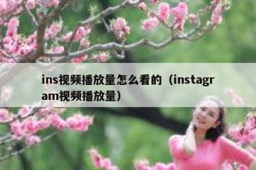 ins视频播放量怎么看的（instagram视频播放量）