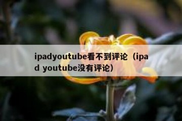 ipadyoutube看不到评论（ipad youtube没有评论）