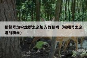 视频号加粉丝群怎么加入群聊呢（视频号怎么增加粉丝）