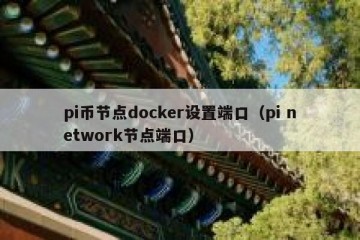 pi币节点docker设置端口（pi network节点端口）