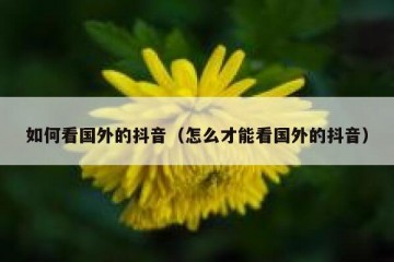 如何看国外的抖音（怎么才能看国外的抖音）