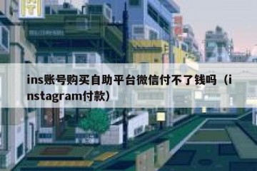 ins账号购买自助平台微信付不了钱吗（instagram付款）