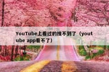 YouTube上看过的搜不到了（youtube app看不了）