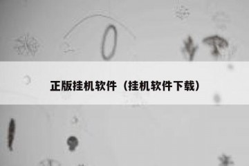 正版挂机软件（挂机软件下载）