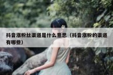 抖音涨粉丝渠道是什么意思（抖音涨粉的渠道有哪些）